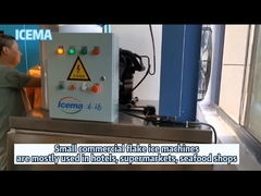 เครื่องทำน้ำแข็งเกล็ดน้ำจืดเชิงพาณิชย์เครื่องทำน้ำแข็งเกล็ดขนาดเล็กเครื่องทำน้ำแข็งเกล็ดสำหรับใช้ในโรงแรม