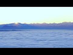 หนังโฆษณาของบริษัท