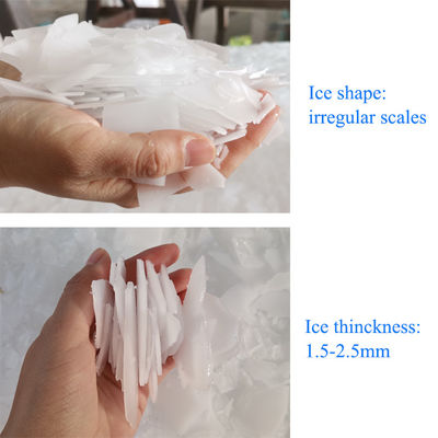 เครื่องทำน้ำแข็งเกล็ดหิมะอัตโนมัติ 20t/H สำหรับการประมงทะเลสด