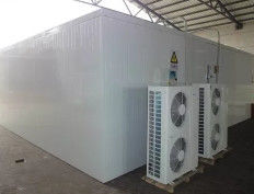 ตู้แช่ผักห้องเย็นเดินในห้องเย็นสำหรับเก็บผลไม้สดการขนส่งปลา