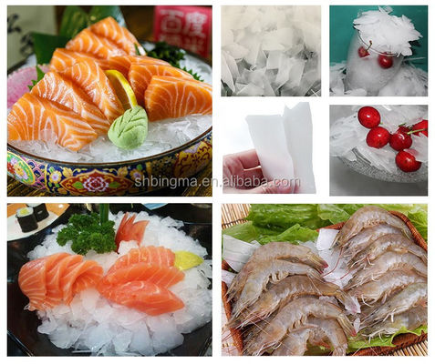 เครื่องทําน้ําแข็งปลา 1T/24H เครื่องทําน้ําแข็งปลา R404A/R22